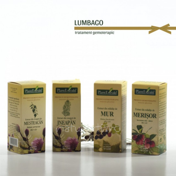 Tratament naturist - Lumbago (Lombago) (pachet)