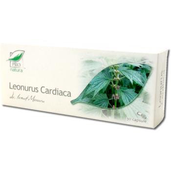 Leonurus cardiaca - 30 cps