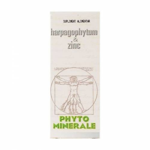Harpagophytum si Zinc - 60 cps