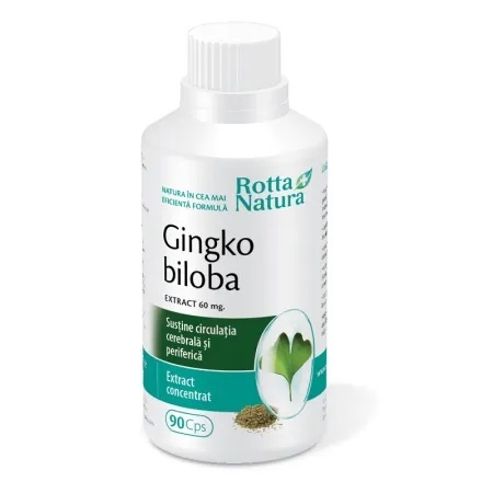 Ginkgo Biloba extract - 90 cps
