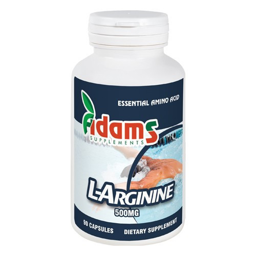 L-Arginine 500 mg - 90 cps