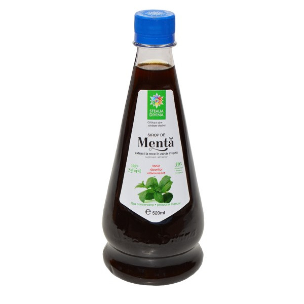 Sirop de Menta - 520 ml