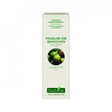 Extract concentrat din muguri de smochin (FICUS CARICA)