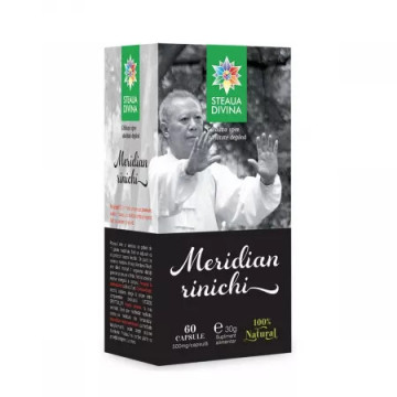 Meridian rinichi - 60 cps