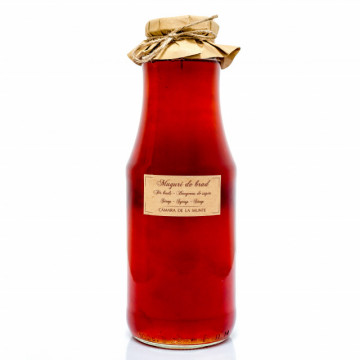 Sirop de muguri de brad - 1 L