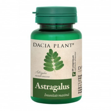 Astragalus - 60 cpr