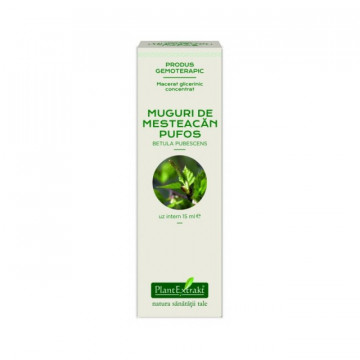 Extract concentrat din muguri de mesteacan pufos 15 ml (BETULA PUB)