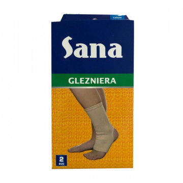 Glezniera elastica L