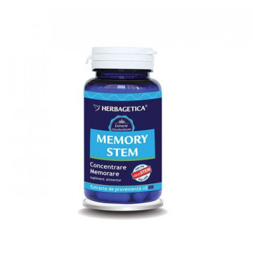 Memory STEM 60 cps