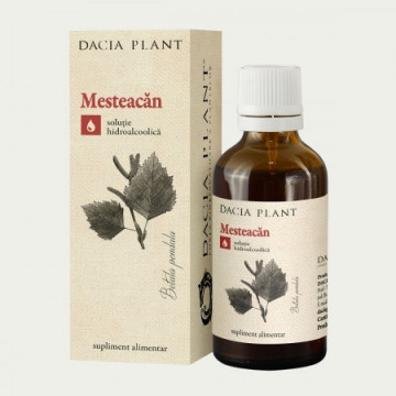 Tinctura Mesteacan - 50 ml