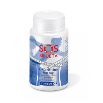 L-Carnitina 500 mg - 60 cps