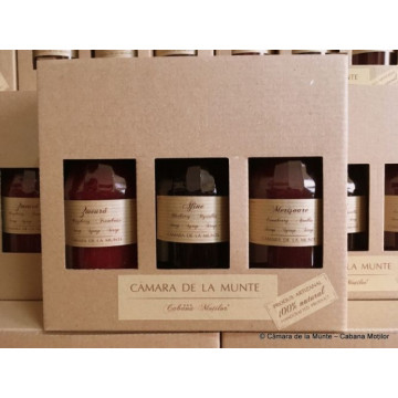 TRIO Sirop fructe de padure 3x300 ml