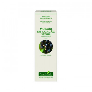 Extract concentrat din muguri de coacaz negru (RIBES NIGRUM)