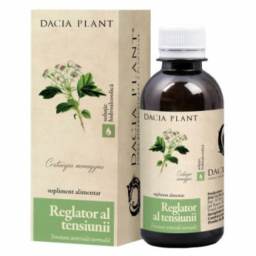Reglator de tensiune 200ml Dacia Plant