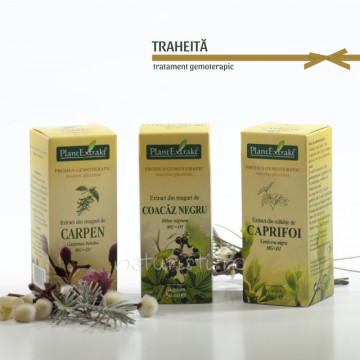 Tratament naturist - Tahicardie (pachet)