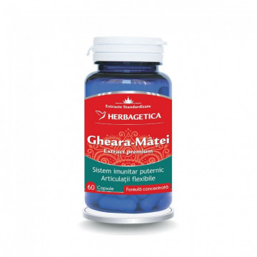 Gheara Matei - 60 cps