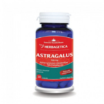 Astragalus - 30 cps