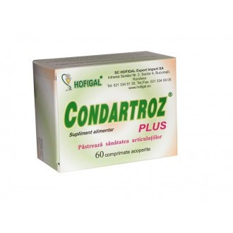 Condartroz Plus 60 compr. Hofigal