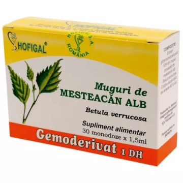 Muguri de Mesteacan Alb Gemoderivat - 30 monodoze