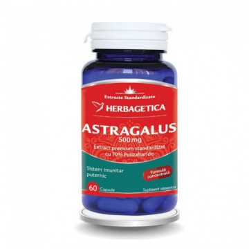 Astragalus - 60 cps