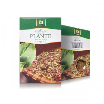 Ceai De Mustar Seminte - 50 g Stef Mar