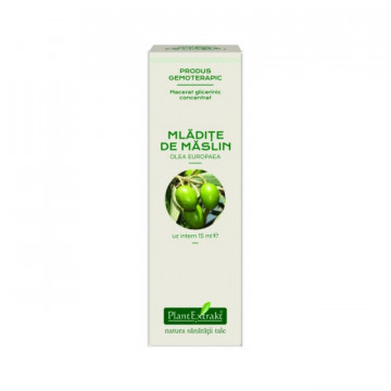 Extract concentrat din mladite de maslin (OLEA EUROPAEA)