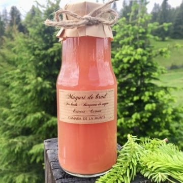 Extract muguri de brad - 300 ml