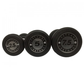 Gantera rotunda din poliuretan - 17.5 kg, Dayu Fitness
