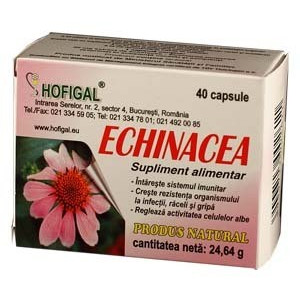 Echinacea capsule Hofigal