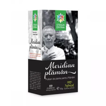 Meridian plaman - 60 cps