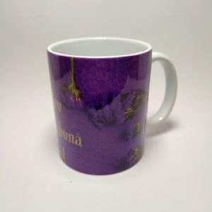 CANA 10 - Img 3