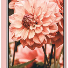 husa silicon catifea roz pal samsung galaxy A42 planetphone