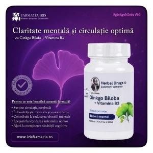 Ginkgo Biloba + Vitamina B3, 30 comprimate, Herbal Drugs