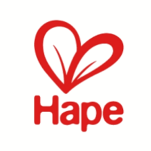 Hape toys