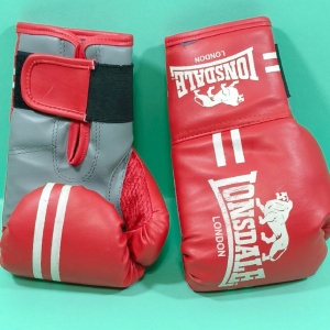 mănuși de box Lonsdale Junior