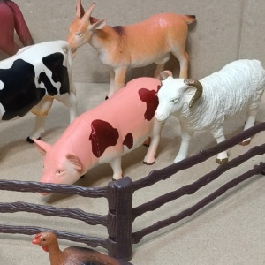 set animale domestice - Img 2