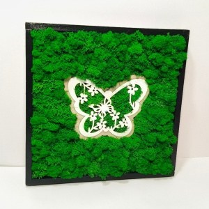 tablou cu licheni stabilizați 31X31cm - FLUTURE