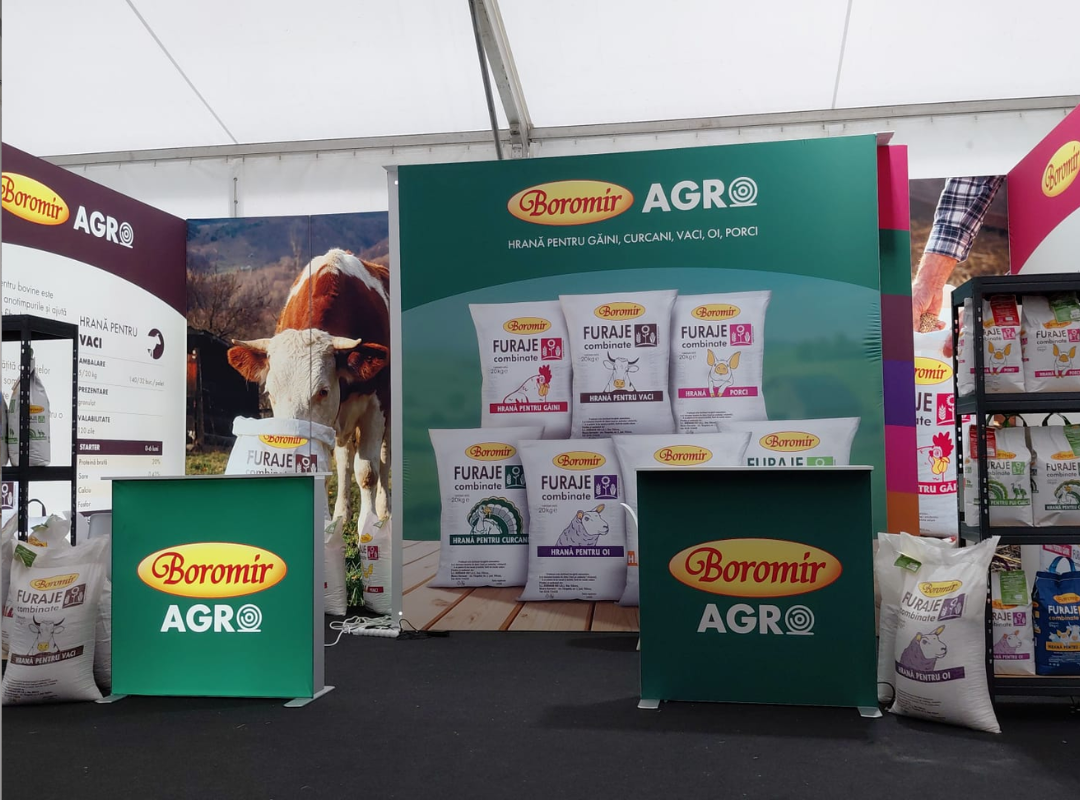 Why Modular Exhibition Stands Are the Preferred Choice for Companies Attending Multiple Trade Shows Every Year