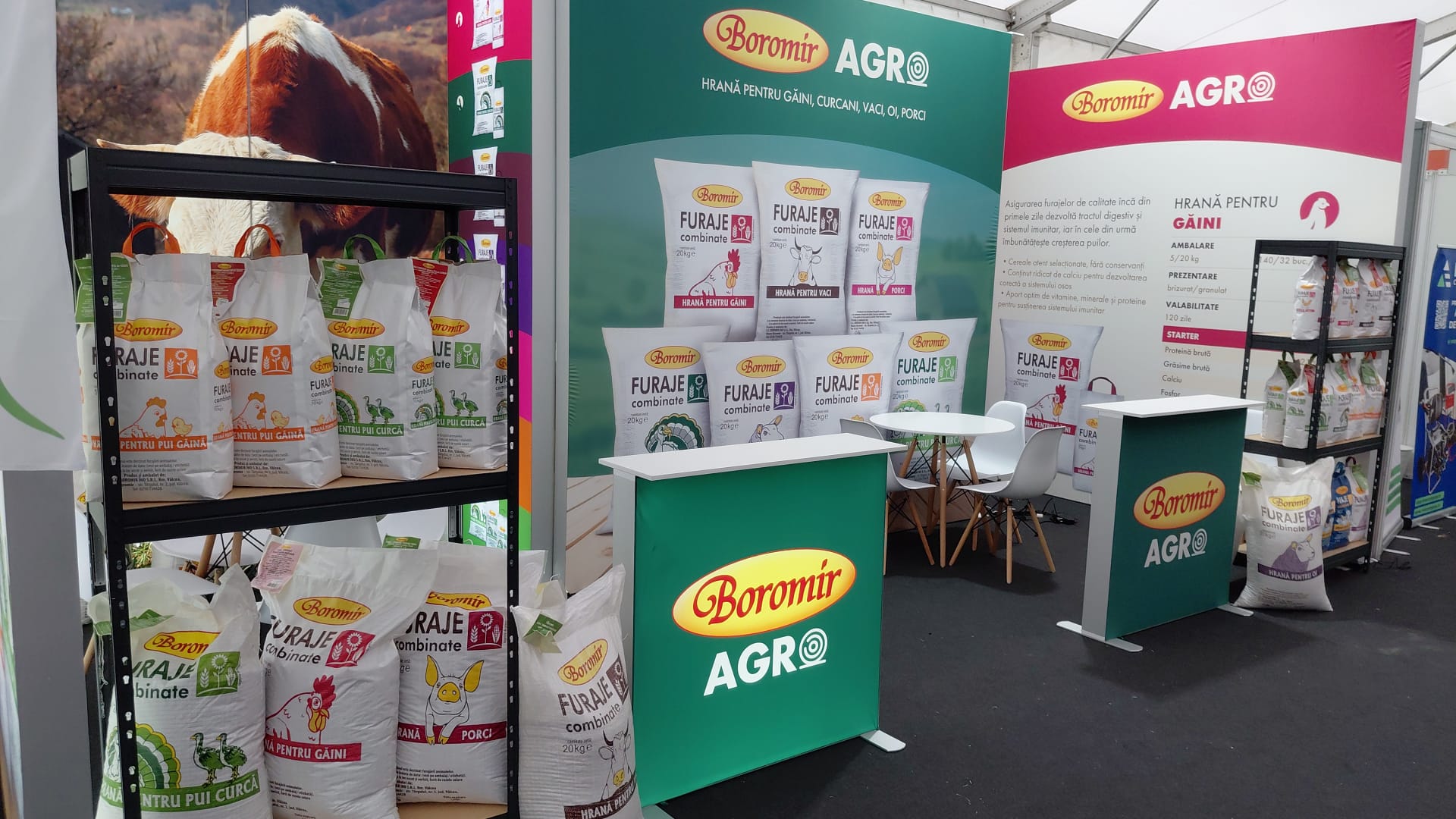 Ce tipuri de standuri expoziționale are Formtex? Ghid pentru alegerea standului potrivit