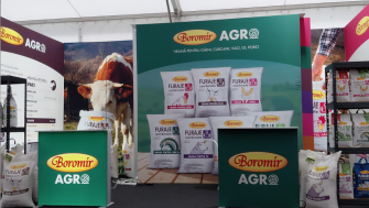 Why Modular Exhibition Stands Are the Preferred Choice for Companies Attending Multiple Trade Shows Every Year