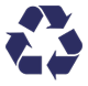 rec. icon