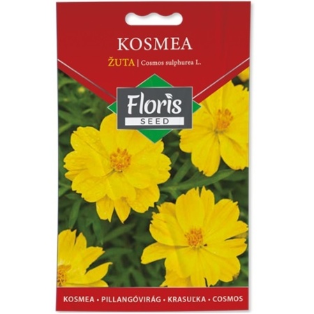 Cveće Kosmea žuta seme 0.5g - 10kom. FLORIS