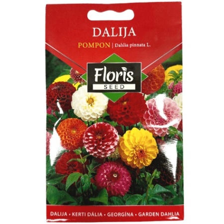 Cveće Dalija Pompon seme 0.3g - 10kom. FLORIS