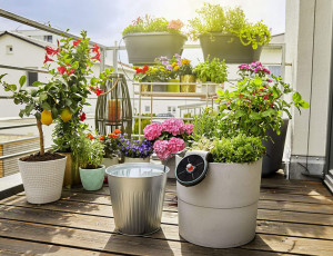 Komplet za zalivanje kap po kap Aquabloom Solar GARDENA - Img 5
