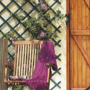 Merdevine za puzavice 0.5x1.5m TRELLIS