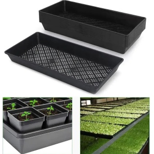 Mesh Tray Rupičasto Korito