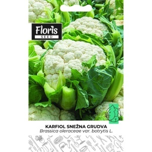 Seme karfiol Snežna grudva 1g - 10kom. Floris