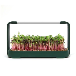 Smart Bašta MicroGreen - Img 2