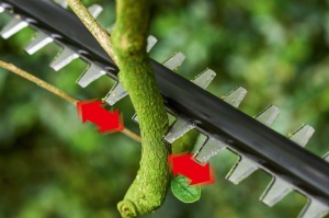 Akumulatorski teleskopski trimer za žbunje i živicu UniversalHedgePole 18 Solo BOSCH - Img 3