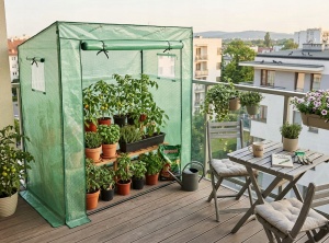 Montažni plastenik 200x77x168cm GardenLine - Img 5